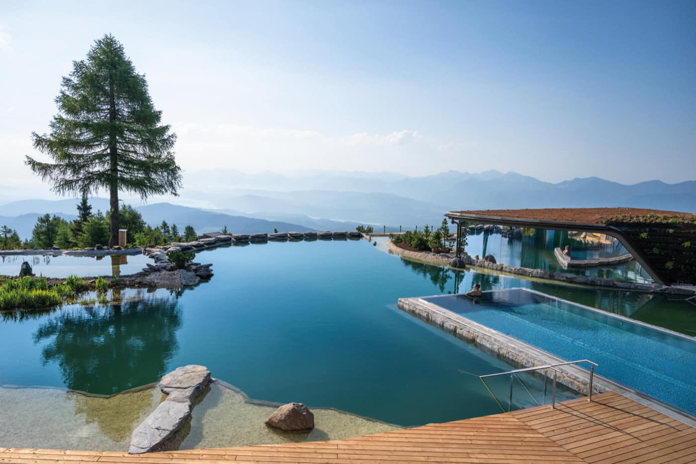 Naturbadeteich mit einzelner Lärche am Ufer, dahinter der Infinity-Pool und die Bergkette