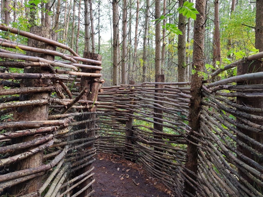 Labyrinth aus geflochtenen Ästen zwischen Bäumen im Bärenwald